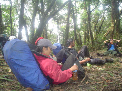 DSC01530.JPG