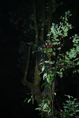 DSC07990.JPG