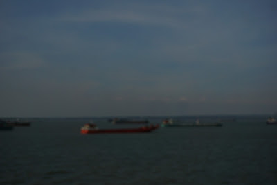 DSC03507.JPG