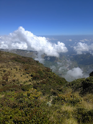 RA_20250723_105428_lmc_8.4.jpg