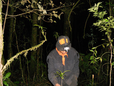 DSCN1511.JPG