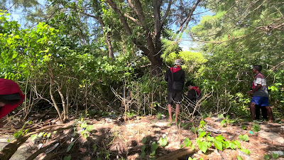 IMG_2817.MOV