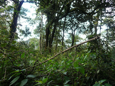 P1040735.JPG