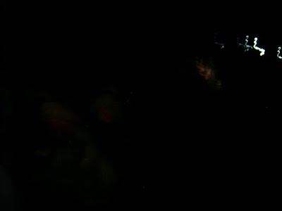 DSC07975.JPG