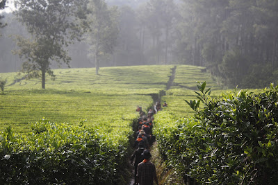 _MG_3156.JPG