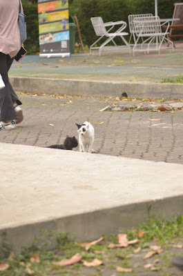 DSC_6431.JPG