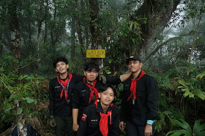 LDK00618.JPG