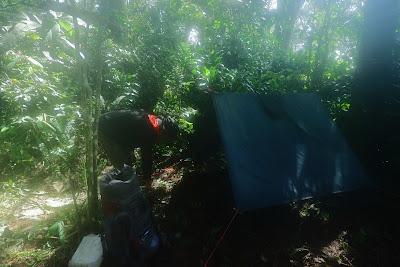 DSCF6596.JPG