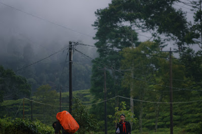 Mountaineering Course-60.jpg