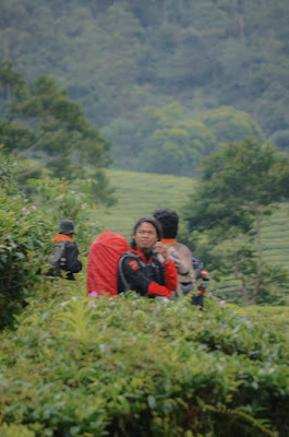 Mountaineering Course-92.jpg