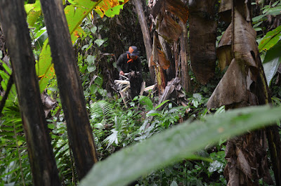 DSC_0366.JPG