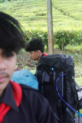_MG_2705.JPG