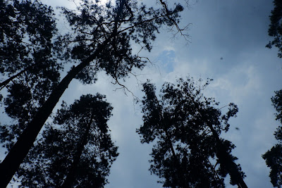 DSCF6612.JPG