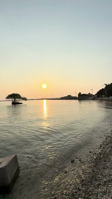 IMG_8088.MOV