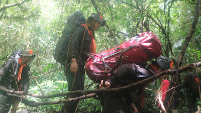 IMG_2707.JPG
