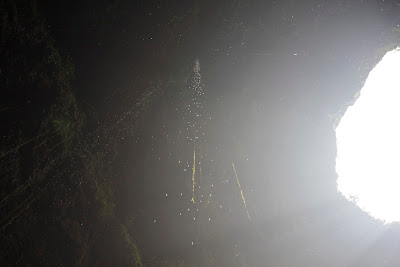_MG_0443.JPG