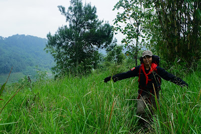 DSCF6616.JPG