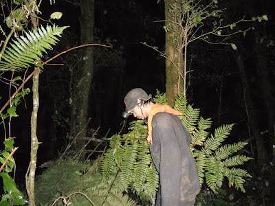 DSCN1518.JPG