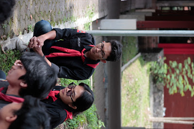 _MG_0803.JPG