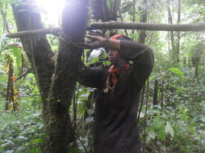 SAM_0099.JPG