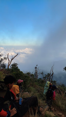 MVIMG_20250723_172916.jpg