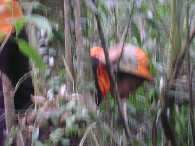 DSC08031.JPG