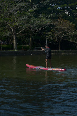 DSC_7441.JPG