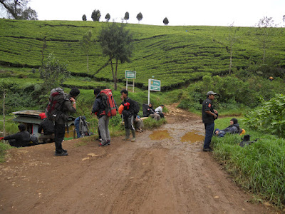 DSCN1385.JPG