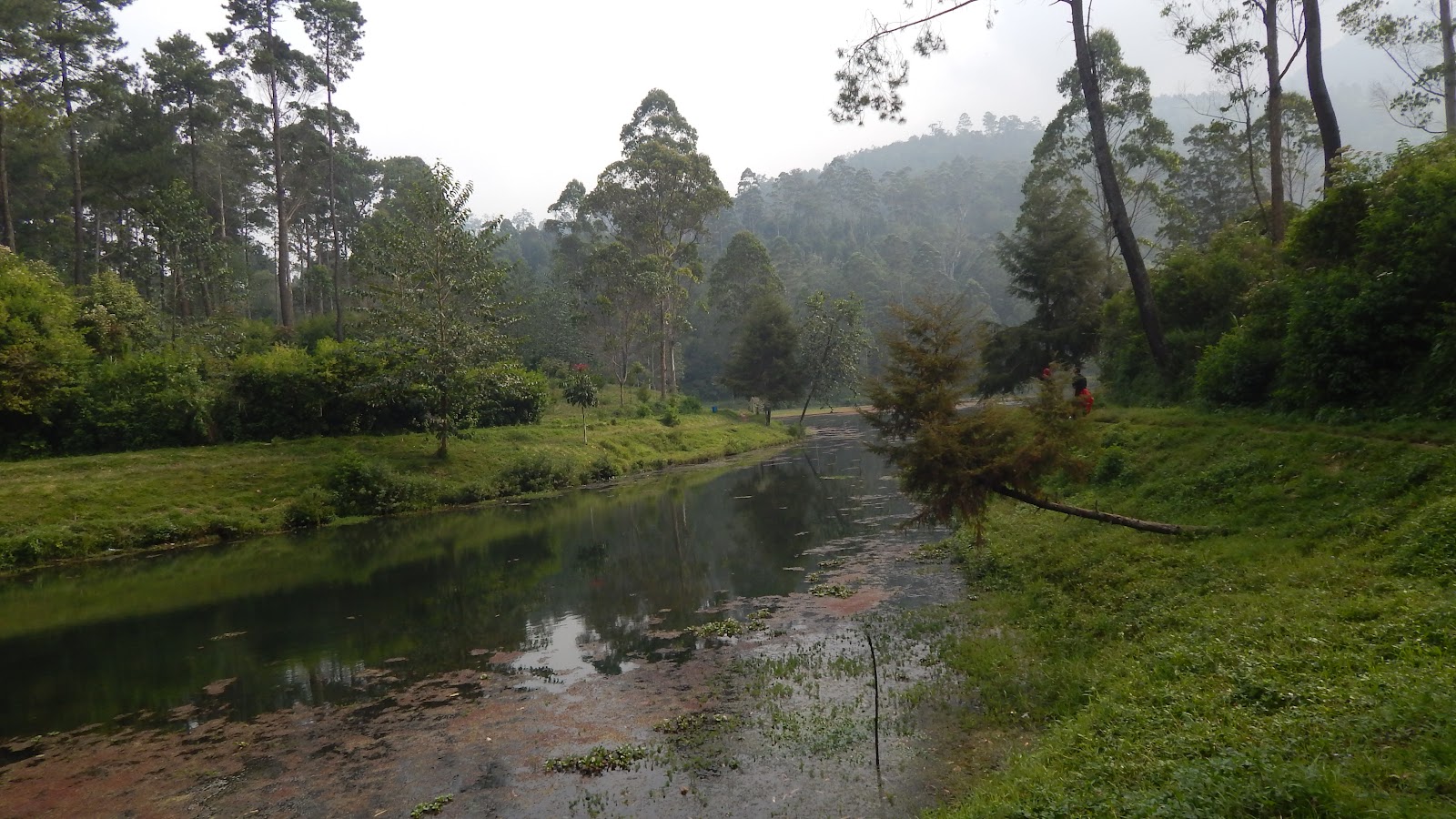 DSCN8269.JPG