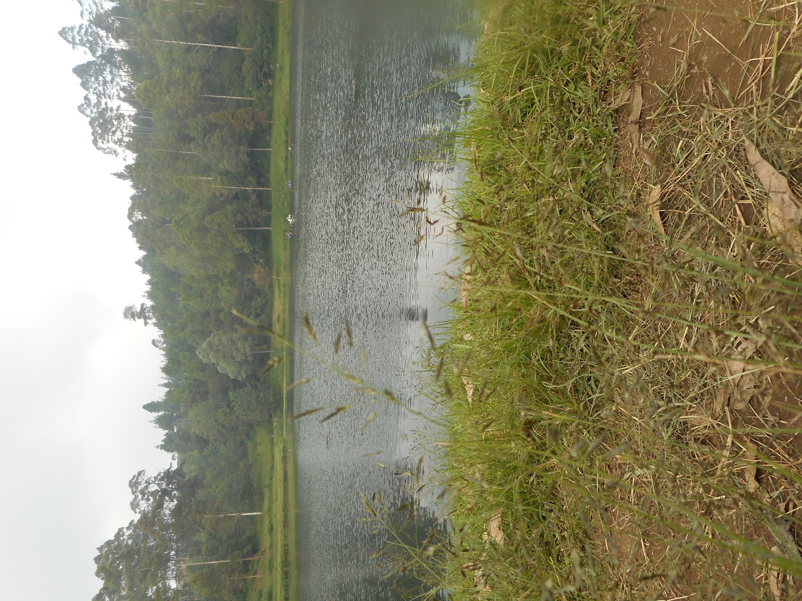 DSCN0475.JPG