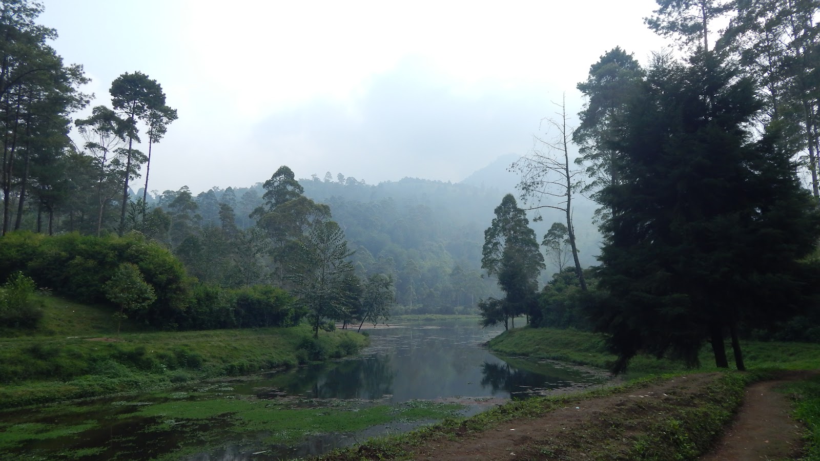 DSCN8264.JPG