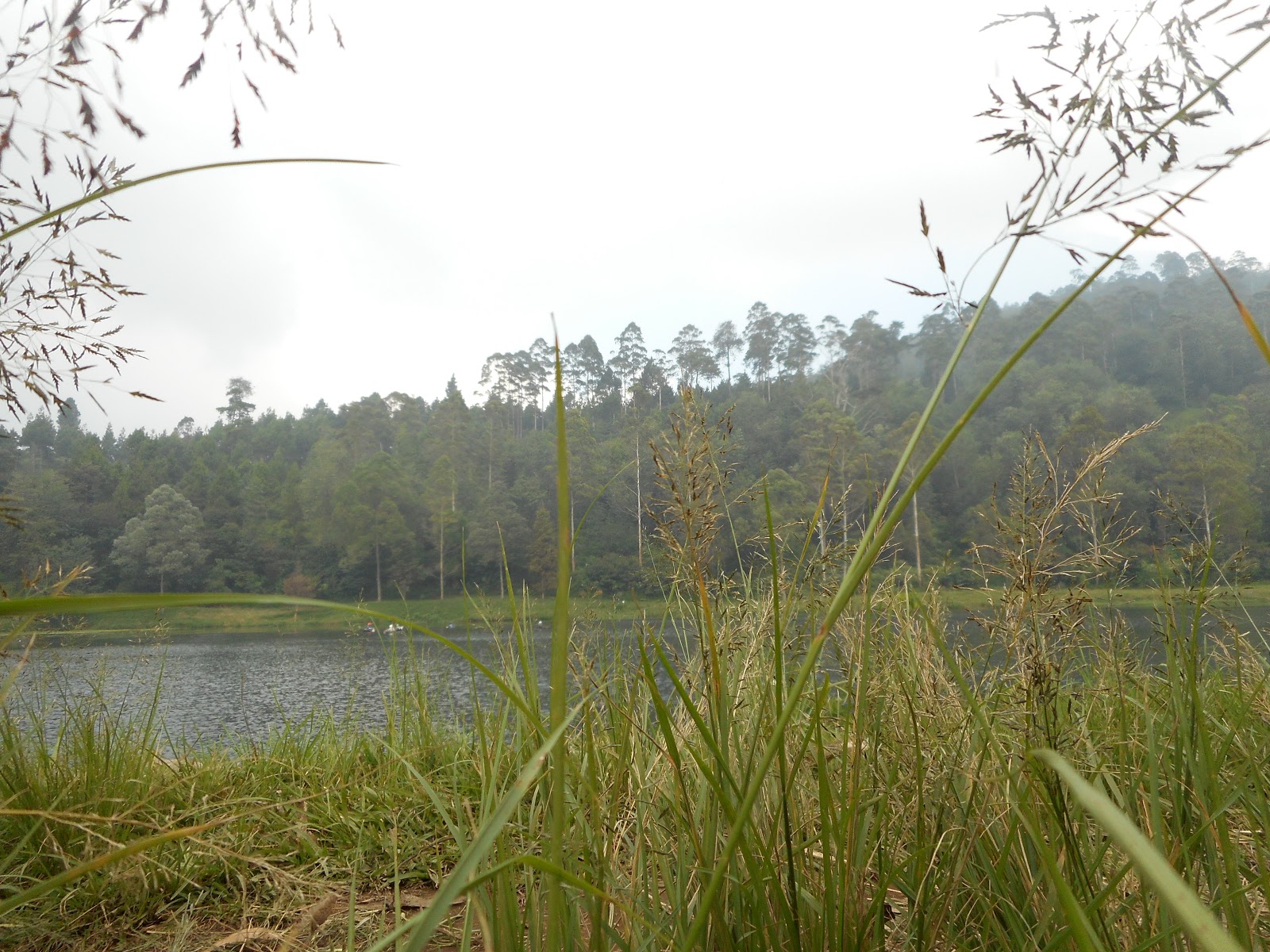 DSCN0476.JPG