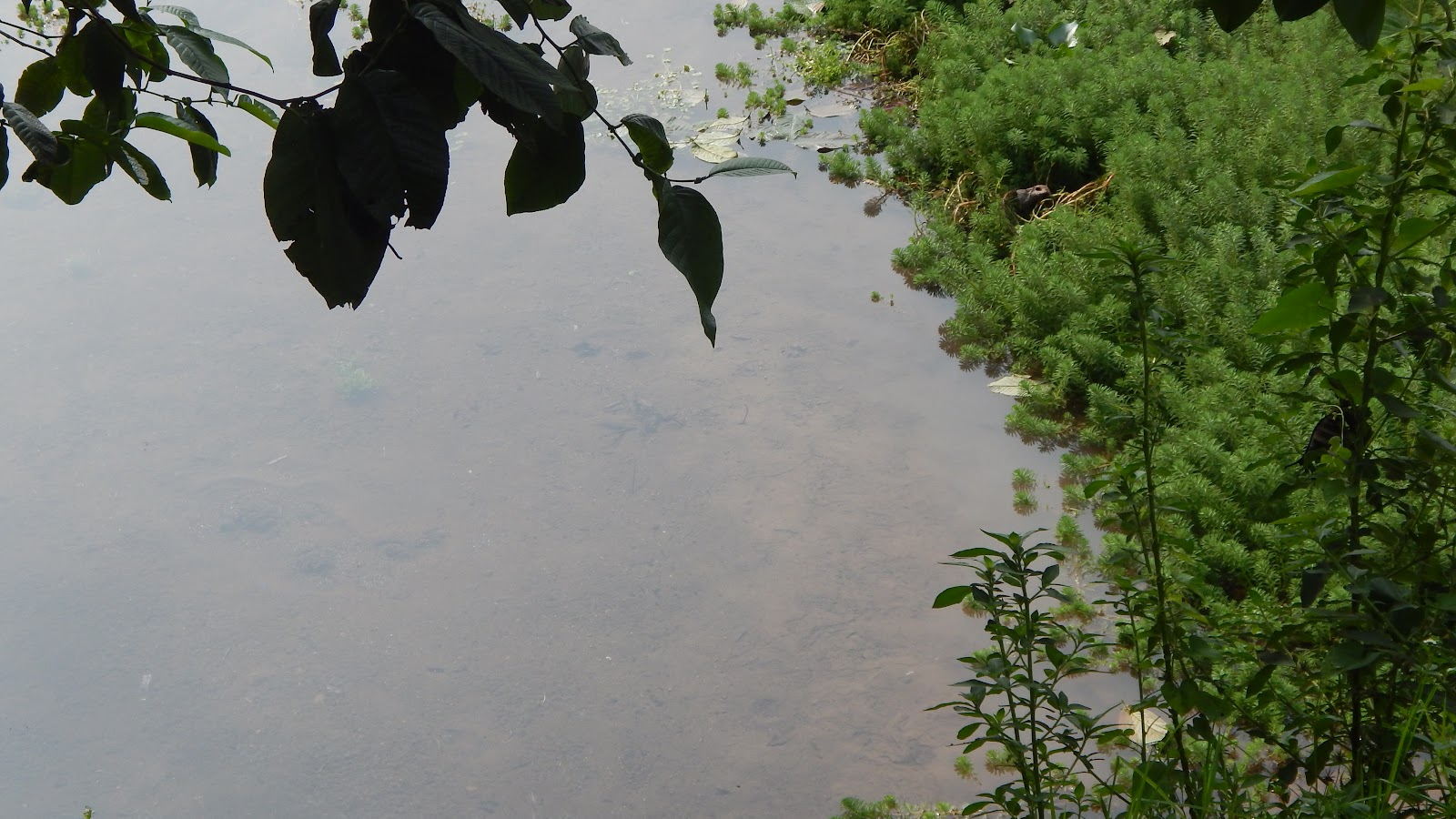 DSCN8249.JPG