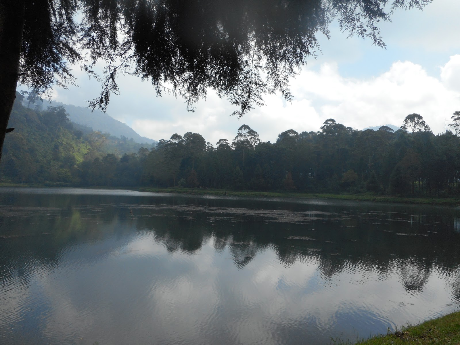 DSCN0467.JPG