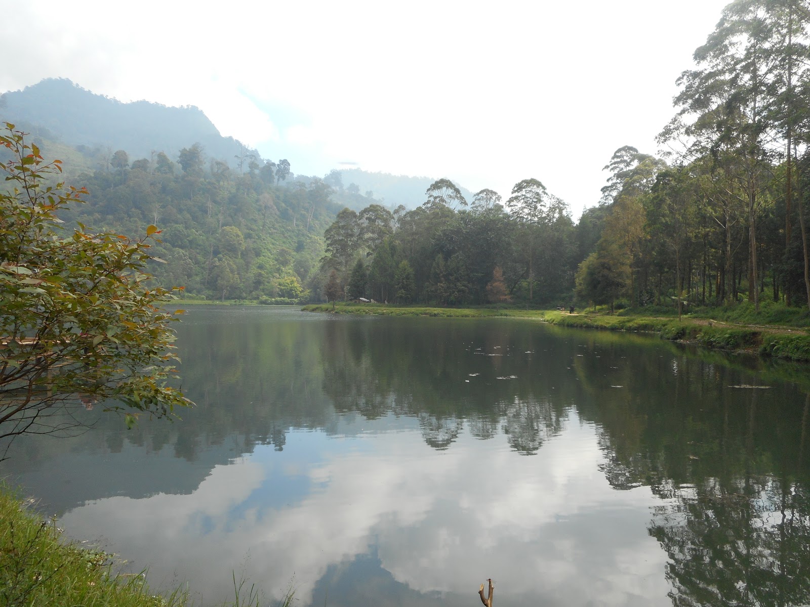 DSCN0464.JPG