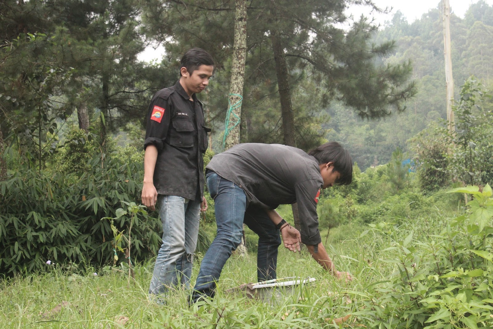 Cisanti OP 1_170511_0086.jpg