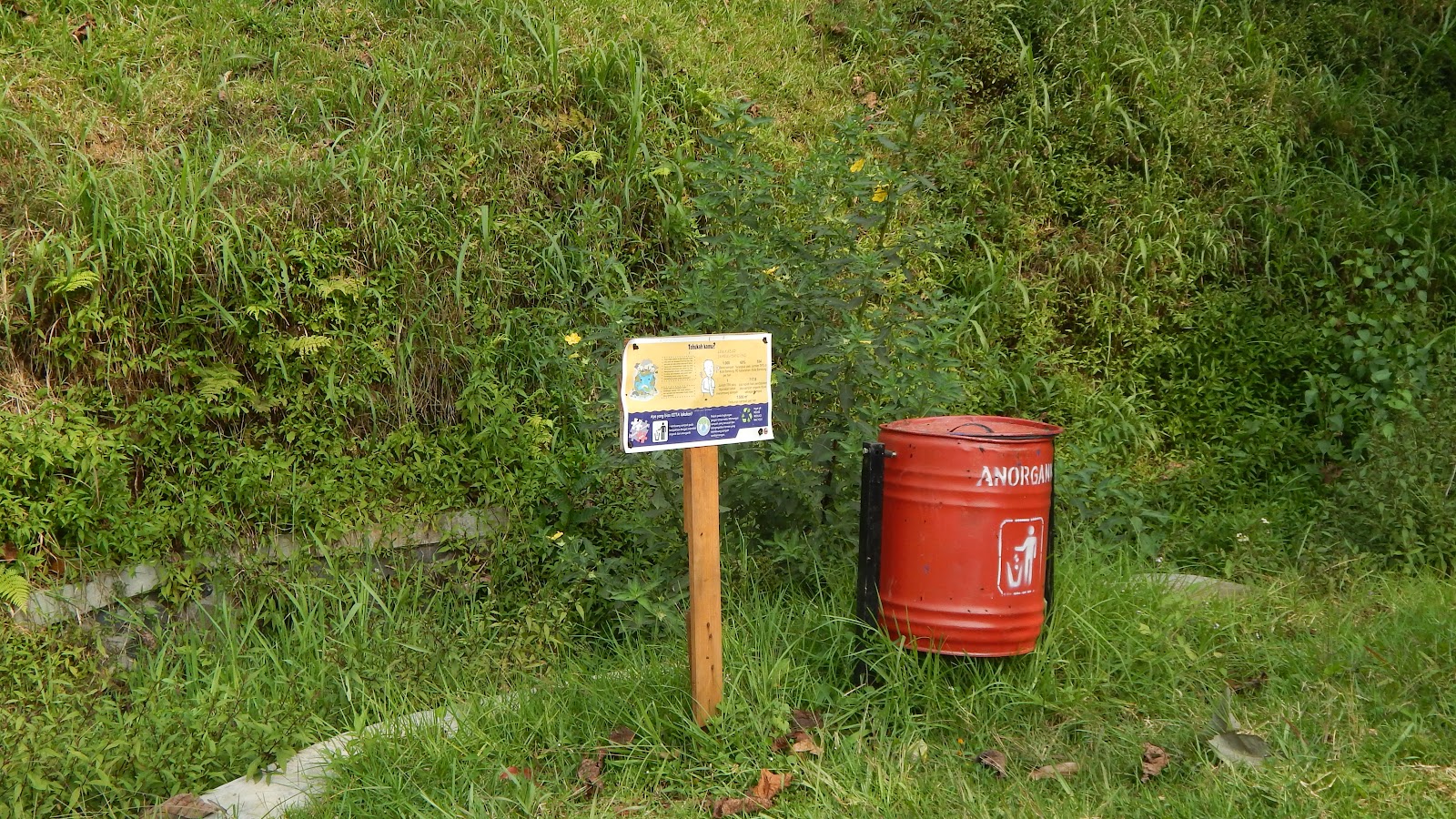 DSCN8250.JPG