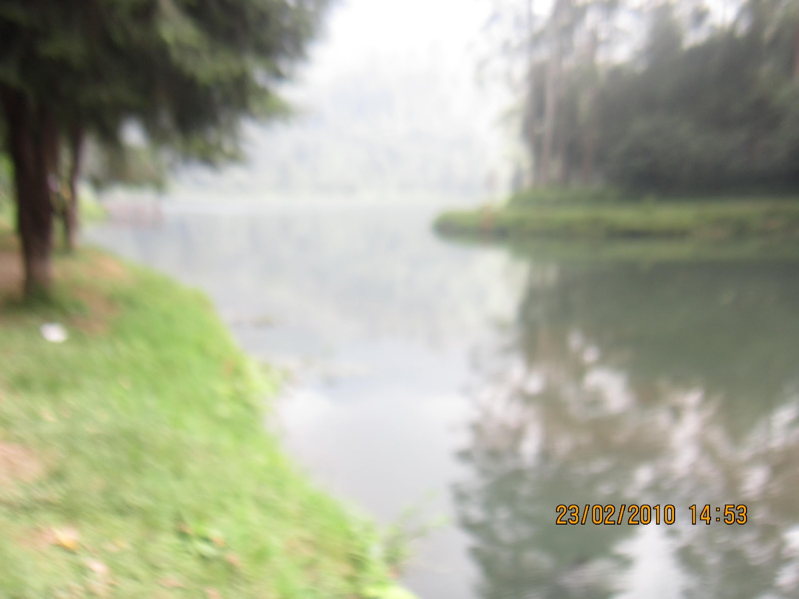 IMG_2699.JPG