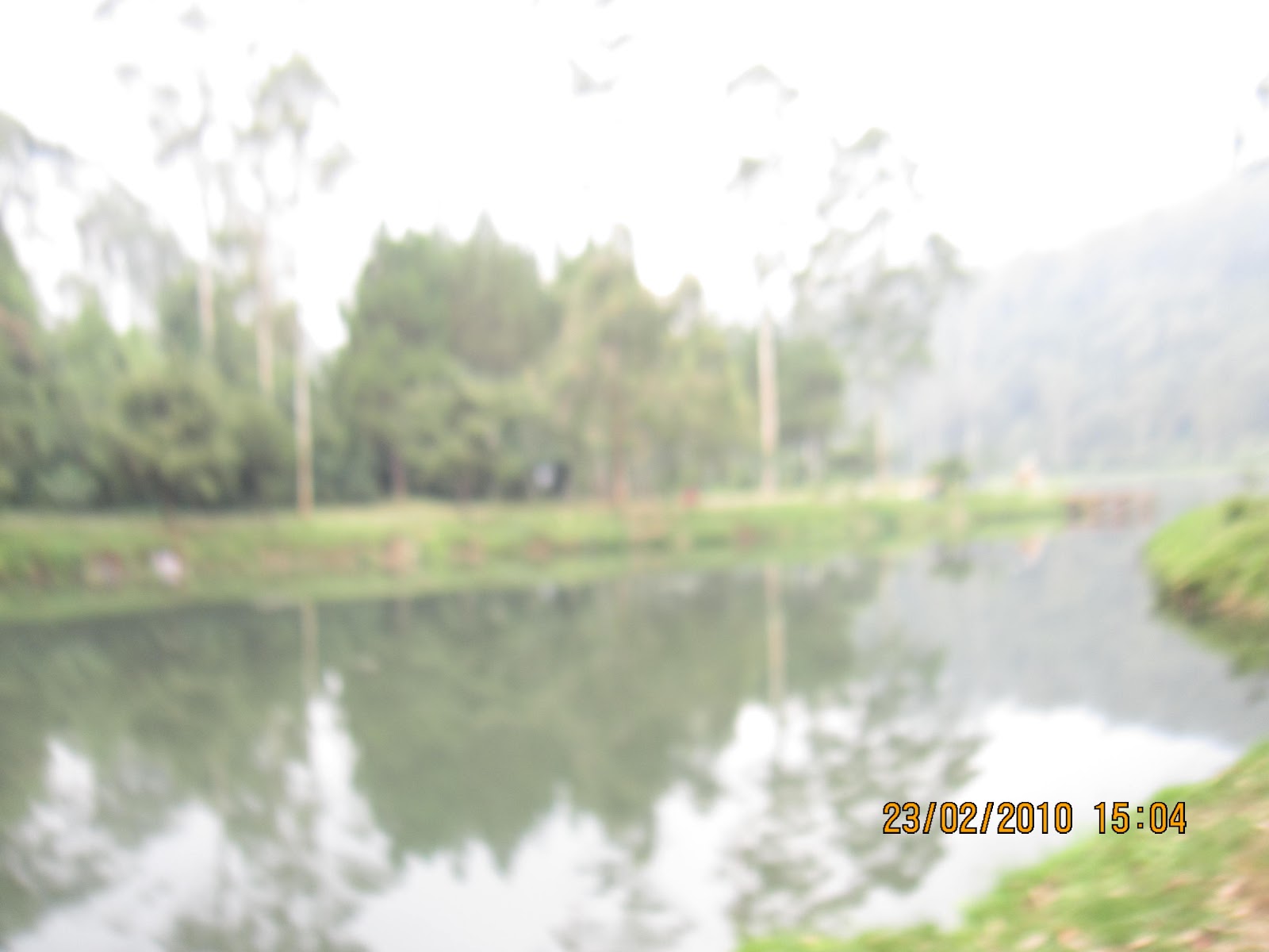IMG_2721.JPG