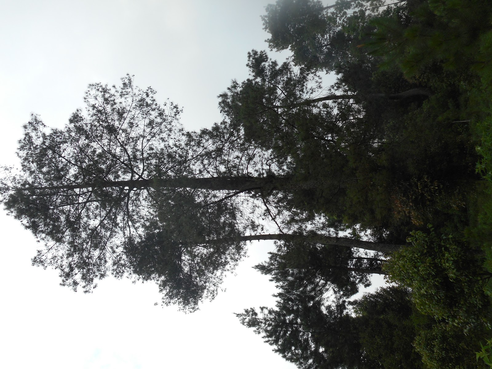 DSCN0482.JPG