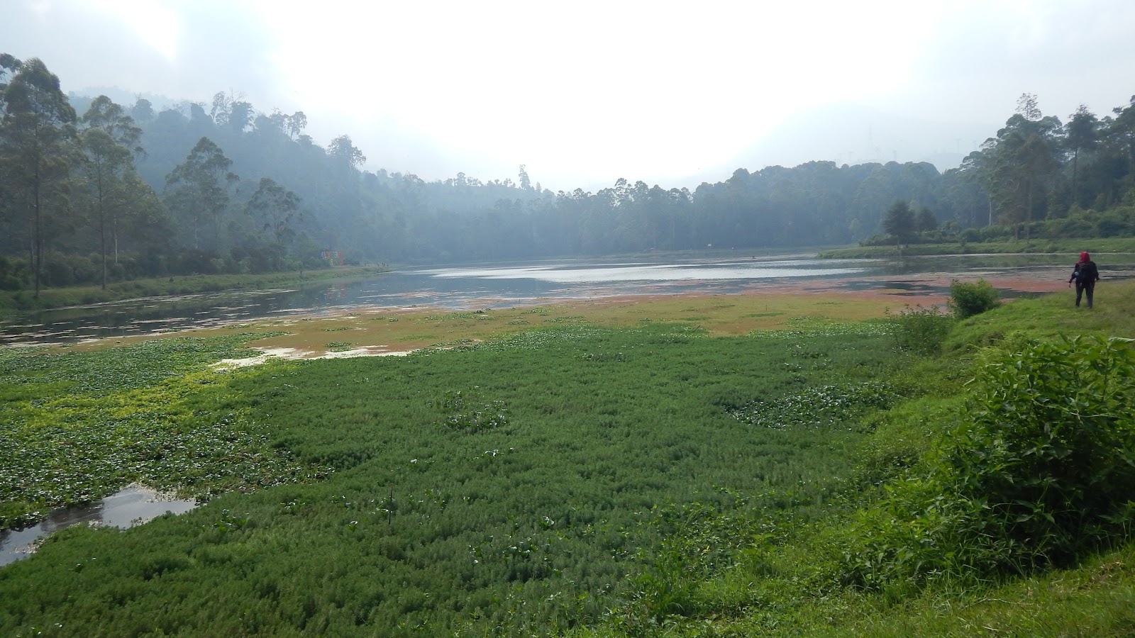 DSCN8252.JPG