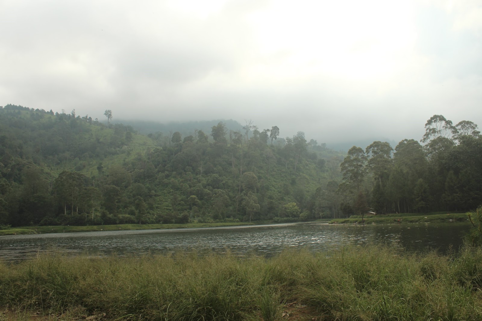 Cisanti OP 1_170511_0045.jpg