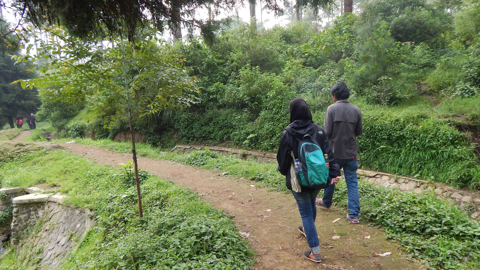 DSCN8263.JPG