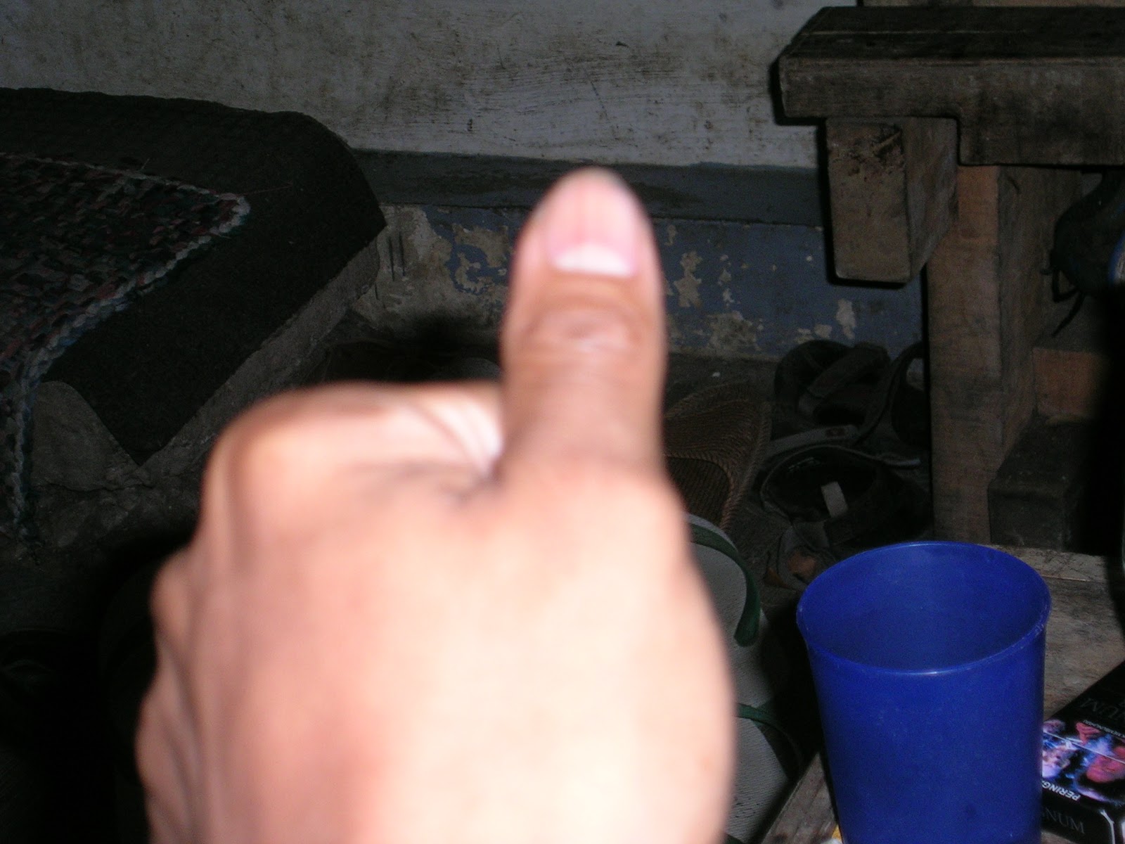 DSCN7289.JPG