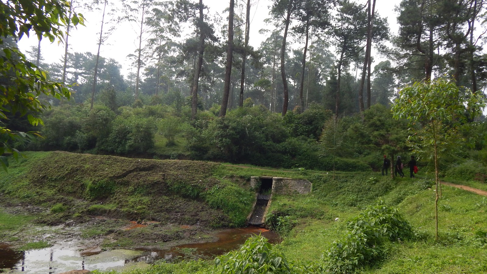 DSCN8259.JPG