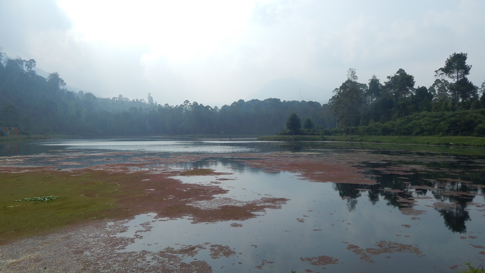 DSCN8255.JPG