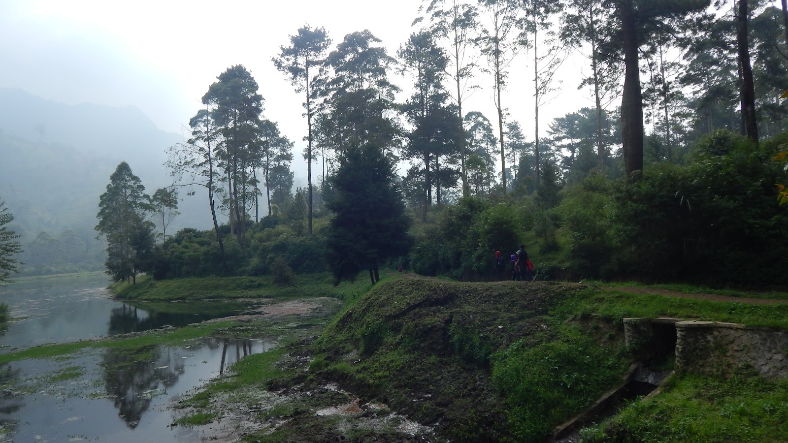 DSCN8260.JPG