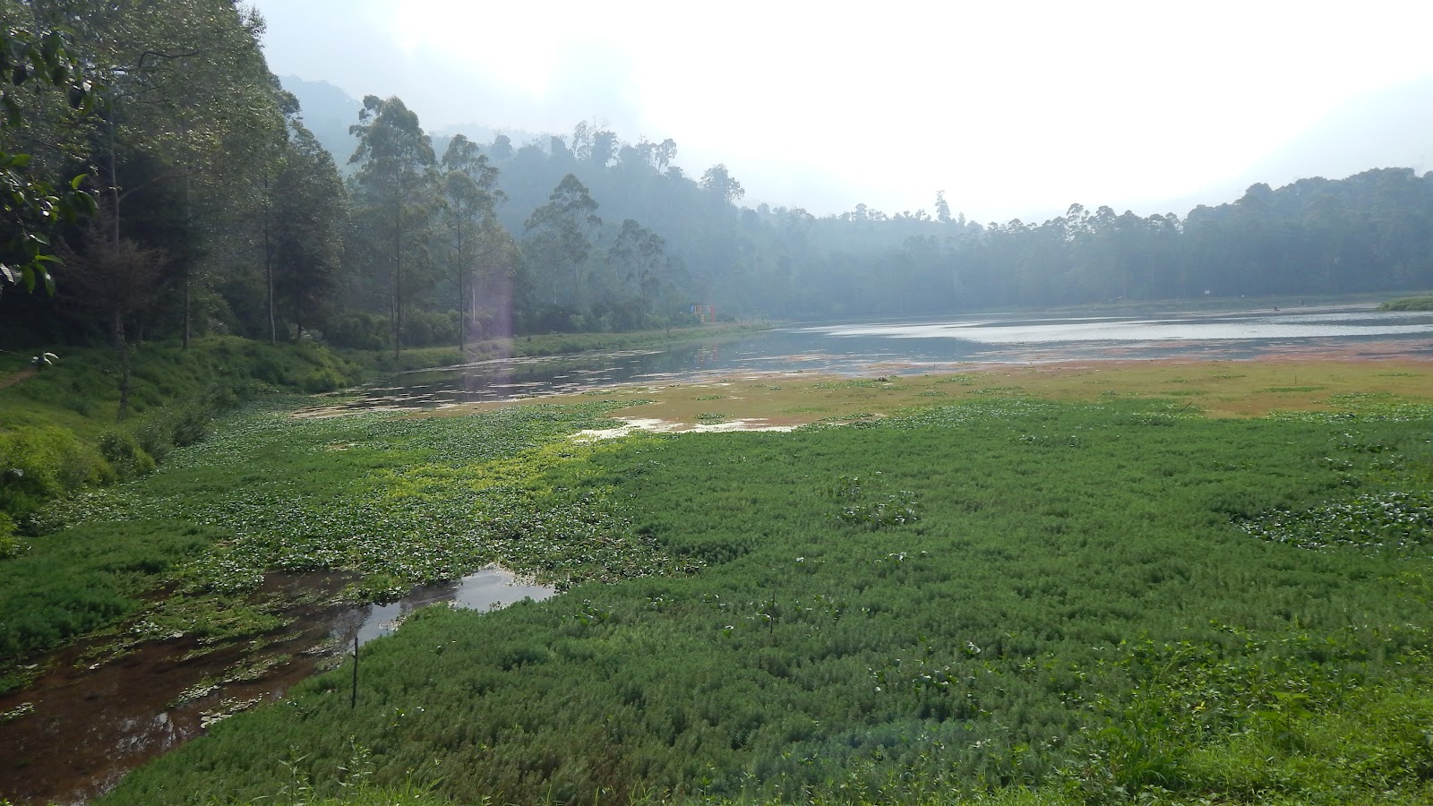 DSCN8251.JPG