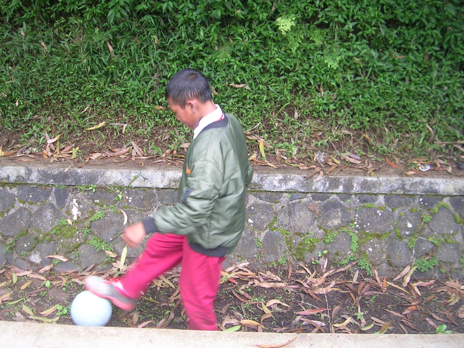 DSCN7315.JPG