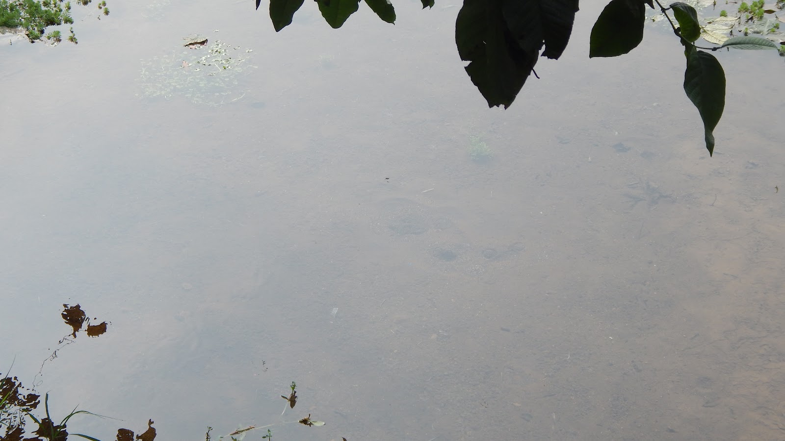 DSCN8248.JPG
